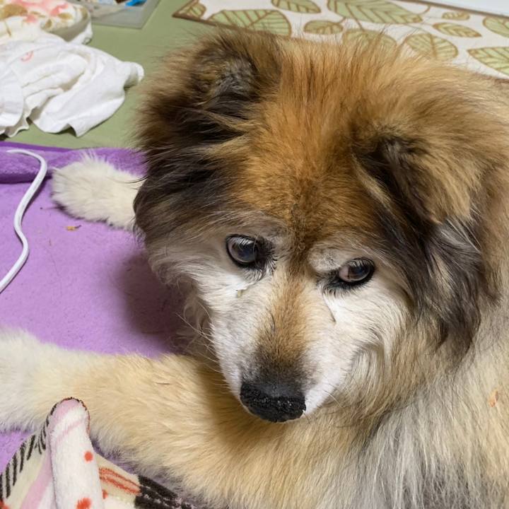 388dfc04 75ed 4c06 9306 9f566b58eac3 1596656978001