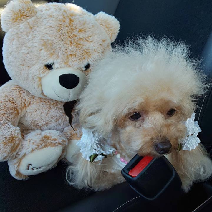 388e1bb4 0254 4b01 98ae 339739c84342 1568546043549