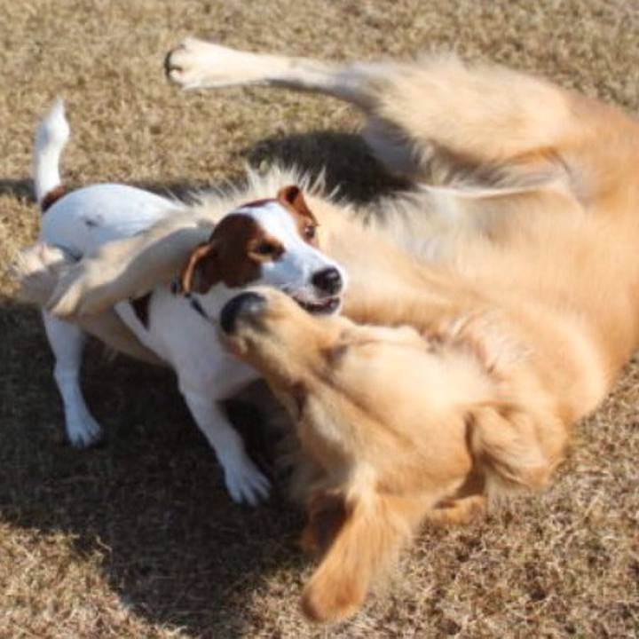 388e2afa e751 4797 ba08 98bedd1b27fe 1511082892450