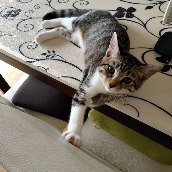 388e3b7c 49c5 4912 96e3 1b5adb4e0560 1629260335763