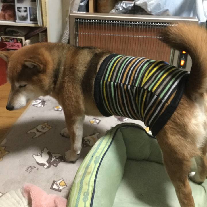 388e55df d133 407a b6a1 f50176708898 1611407831624