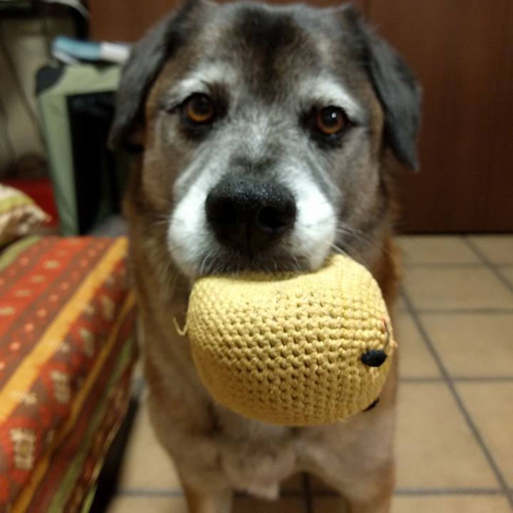 388e5973 b087 4822 abb1 f8c69c8fca26 1521412643614