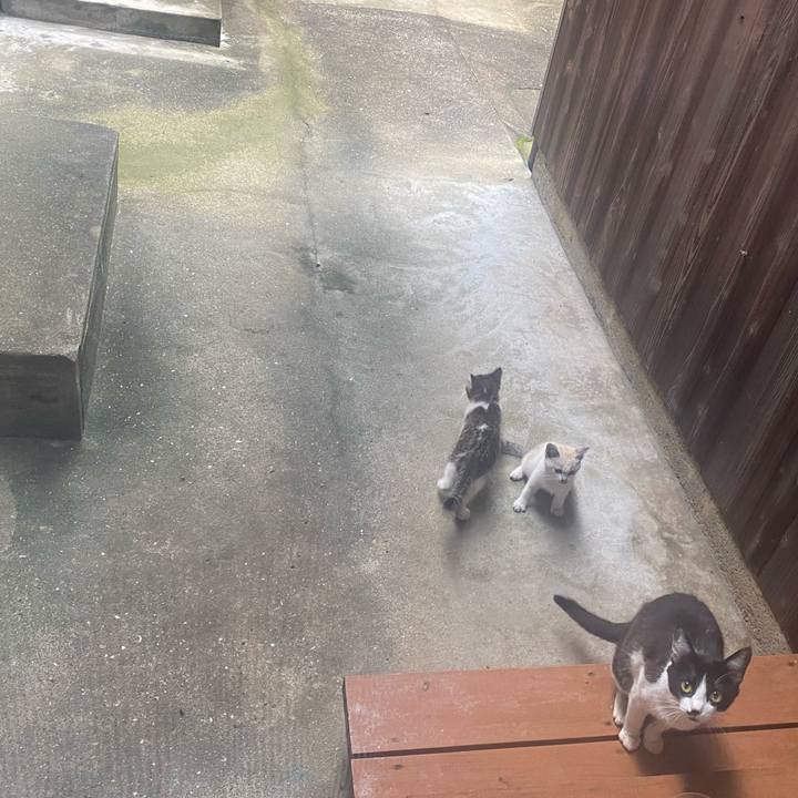 388e684f bc3f 438c b317 c2c7cbcd2a62 1655379380738