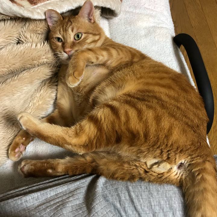 388e92eb cd27 49d0 bee9 a36224459ece 1618835036426