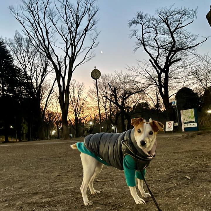 388eca53 b33e 405d 93d9 f68a73141a08 1768604387418