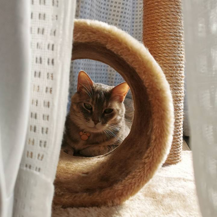 388eff29 27c3 447a 8351 0bb8049a7432 1617868817630