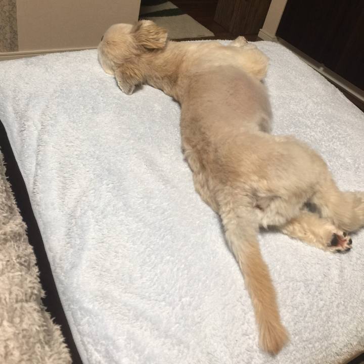 388f3f0a a1d3 455d a0ab 1f1427e99818 1534936016695