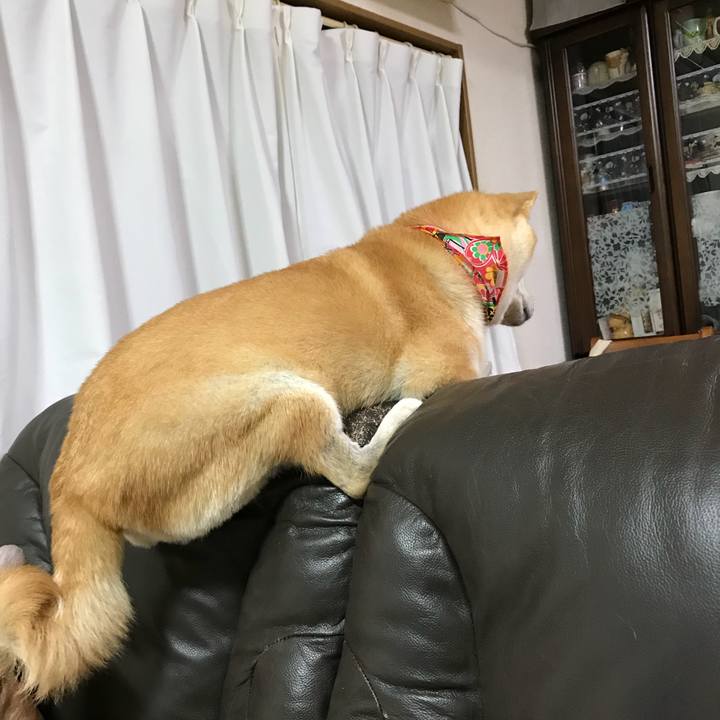 388f78fe 269e 41a2 8b69 3266a39e274e 1515114739978