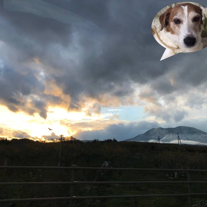 388fe23d 0eb8 4346 a964 d6f363d85d59 1544316163469