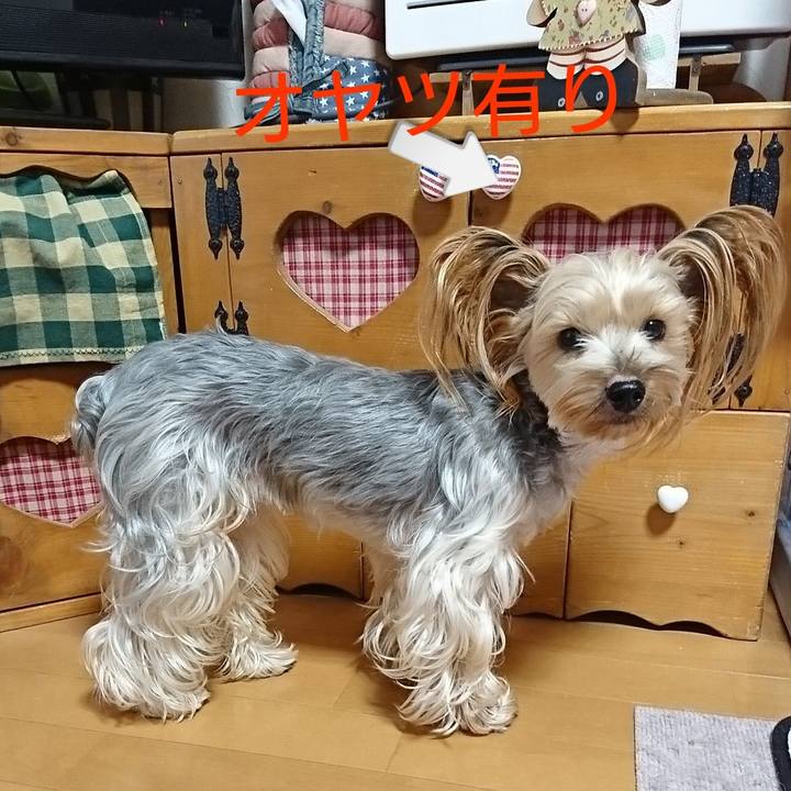 38900ef1 779b 4efd ab23 bce014327f2b 1545723499948