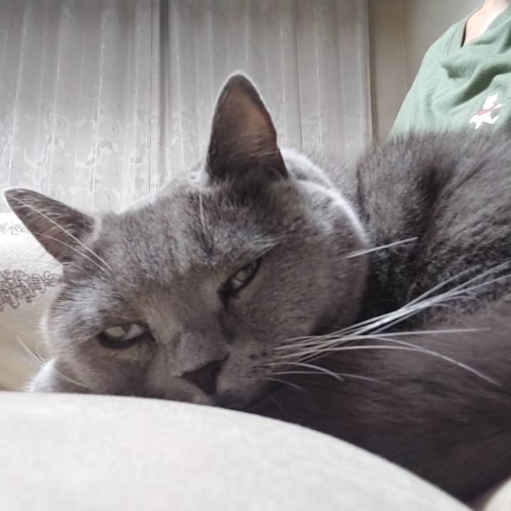 3890138d 261b 4538 95f9 5974c733b614 1668542904930