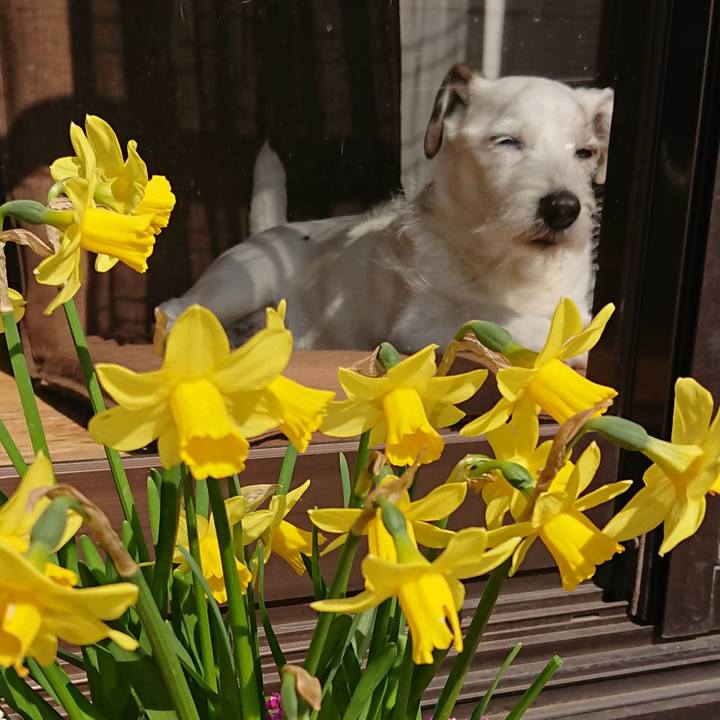 38902ac9 cb87 4236 93db a070947880b2 1551139208014