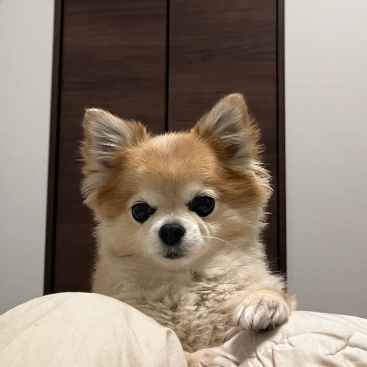 389039d3 2562 4d49 a0a2 88a262c508b4 1767441720710