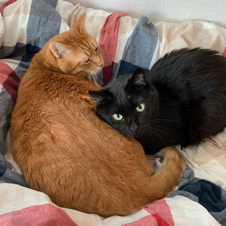 38904c28 92f8 4632 be50 8598ca24fb41 1583145528304