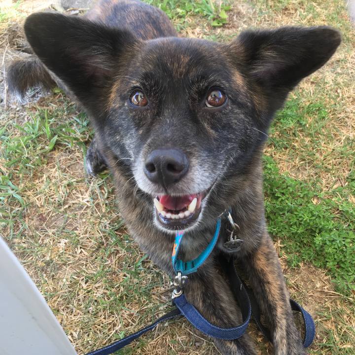 3890760a ea60 4148 8466 42a3fef25e2a 1533518443342