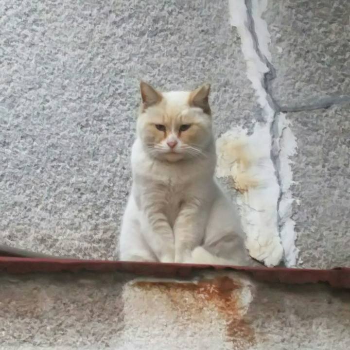 3890b884 6137 481e a6bd fdfd34ffd351 1522911018117