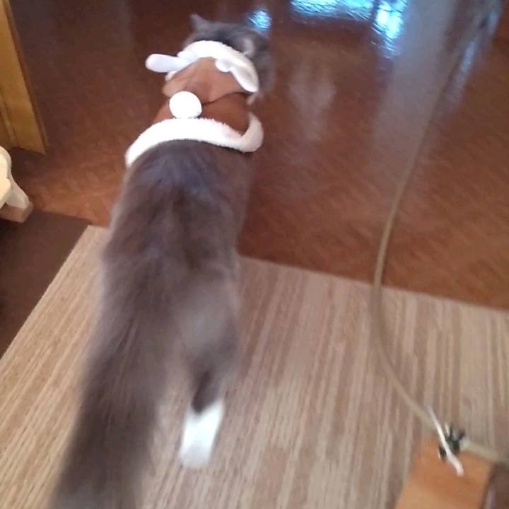 38911869 e021 4d05 bad2 2cc2bd4ebe42 1733638908265