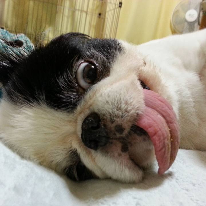 3891829d 7a7e 45c9 bba0 58e8cb883ba0 1633754533395