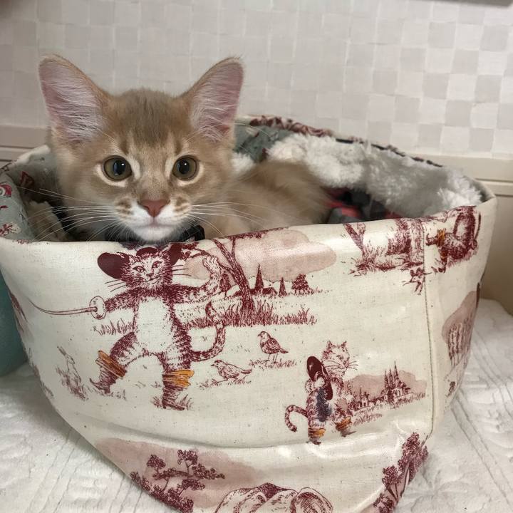 3891b498 f45b 488a adc9 7acb214e6c30 1546211247765