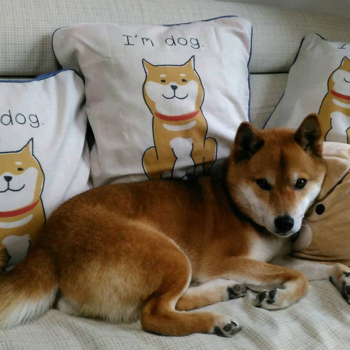 38921481 2ecd 4dda 8080 eade314ed95f 1525745621139