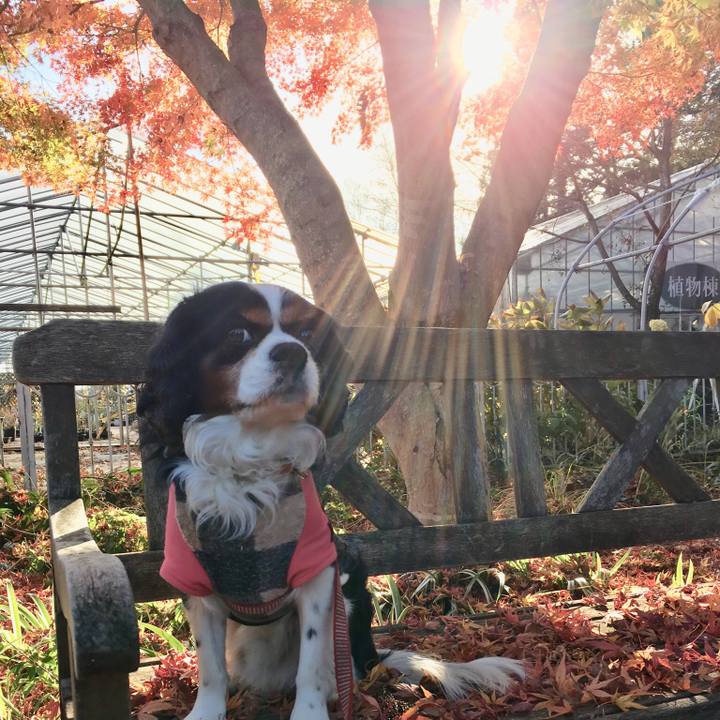 38923b82 5ab0 45a0 9b8c 28bb2353eebb 1510747142524