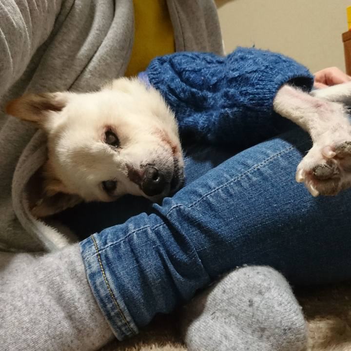 38927731 8004 4af4 9125 0e168cb42787 1548162321062