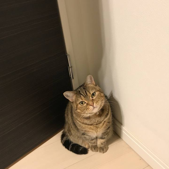 389285e4 fcae 4175 9041 e61fc178f811 1509109957712