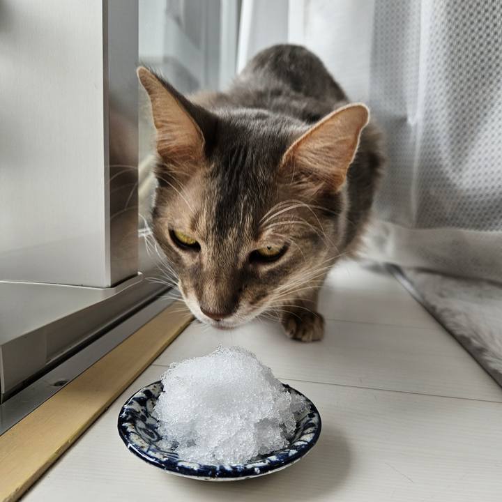 389288b9 1f06 4e90 b6c4 27100bb3b108 1707265006651