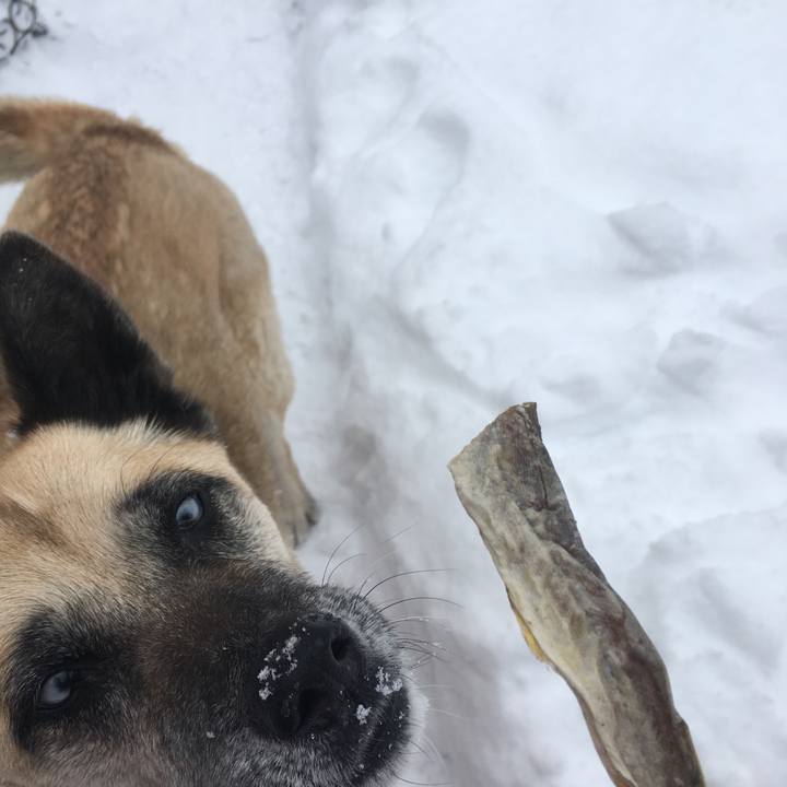 389295bc 773a 498a 9a26 11b8a4bc590e 1518299965663