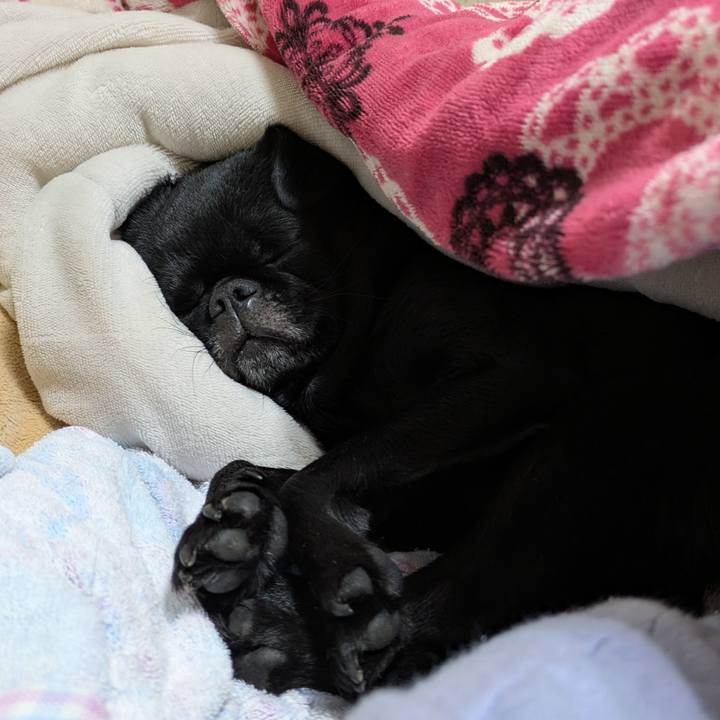 38929db9 1cc6 4921 8288 eb179eee2de8 1767534171130