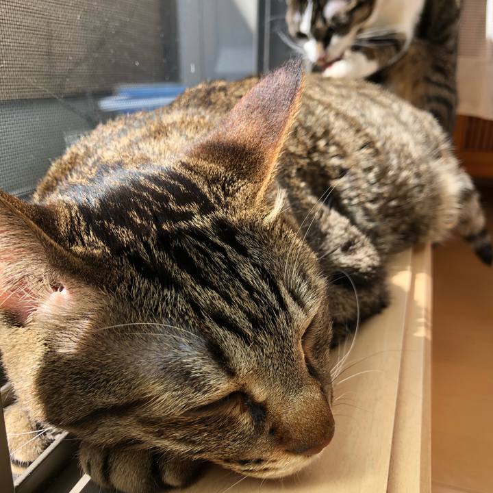 38929e99 7b43 4193 9765 727259360954 1521129897705