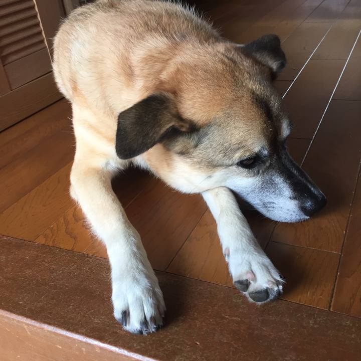 3892a496 93e9 432b bea3 2549873fe238 1533600054076