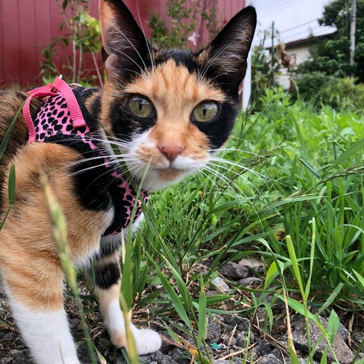 3892c593 962b 412c a126 d59b8d4ec7f8 1531434526603