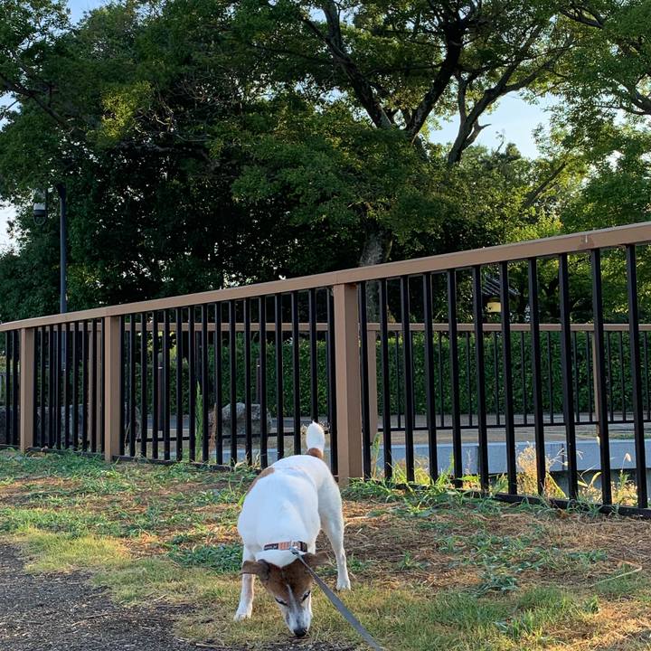 3892ec1d 8441 43be 9c56 7c6dacedf39e 1598132770347