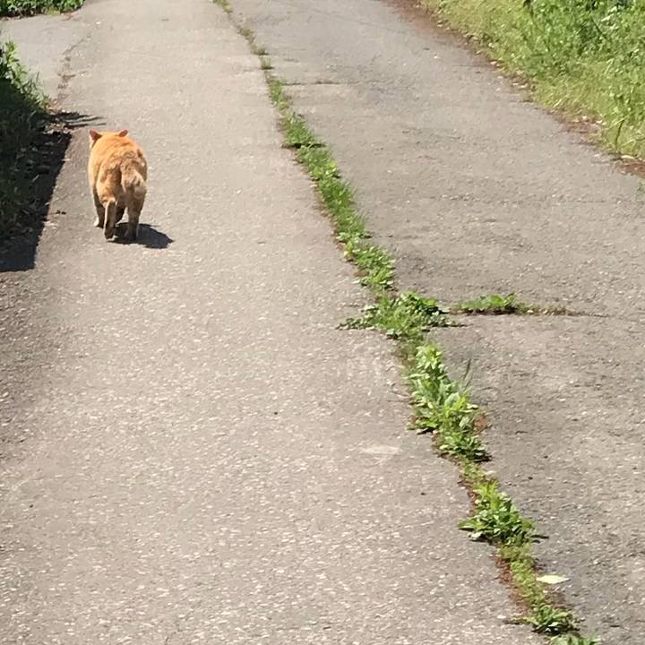 3892f07f 7a70 4719 86f1 e50ce68b1972 1526002597782