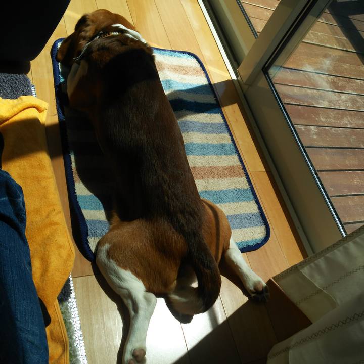 38933ad8 a47b 401e b0fc 5d471406874a 1587693938545