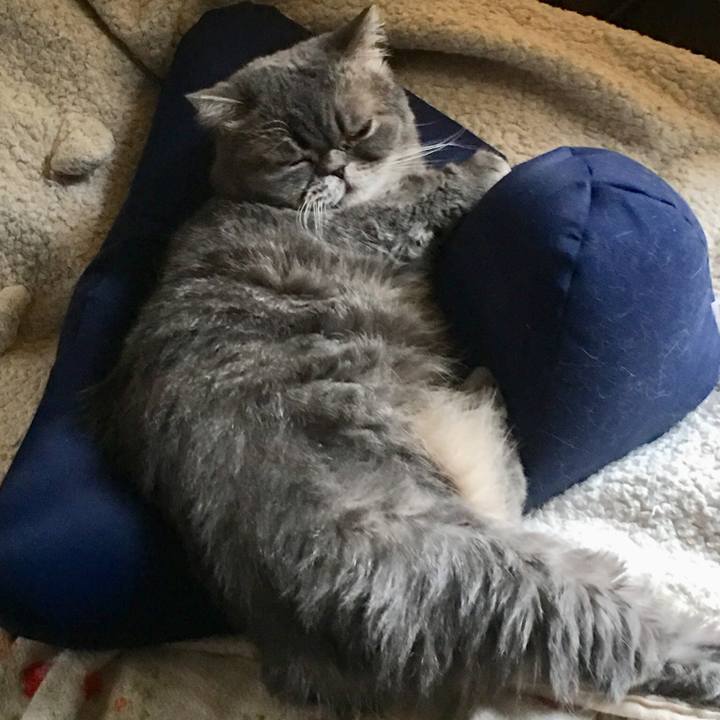 38934db3 479a 485b 89da 653837355a6a 1544964608703