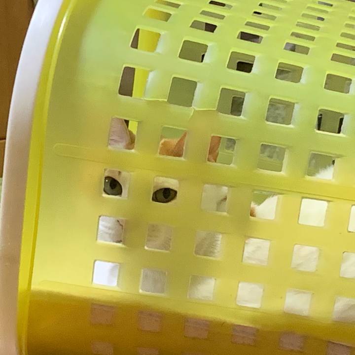 3893674f 9f33 4ade a122 5c6b97aeaf68 1555079427154