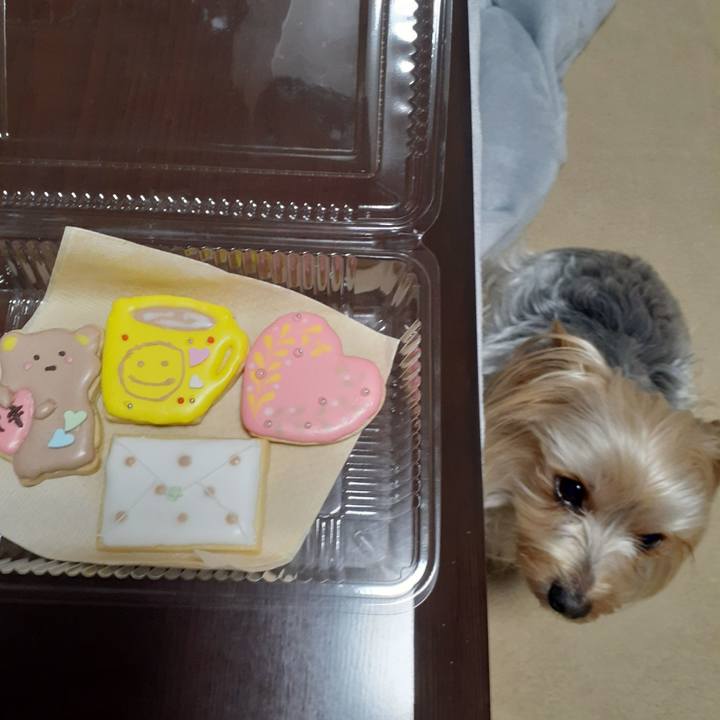 389371c6 04a8 4609 8f37 c77e128040ba 1643447972977