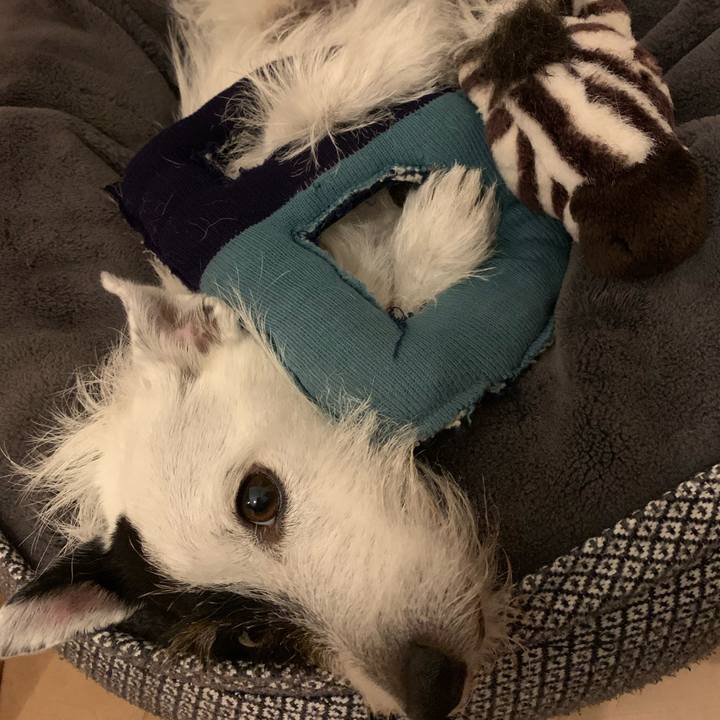 38939813 3a58 46bd bb8f 1d00b59271e6 1693654005107