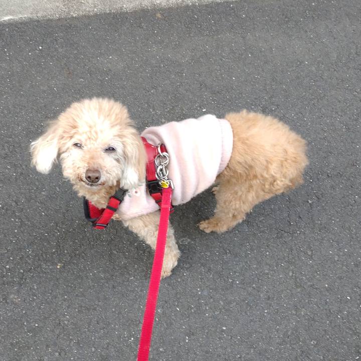 3893c122 9180 4a2e 90a5 0e44c8f891fe 1673254537750