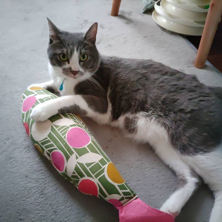 38940ffc f5d9 4179 b69d 7c6b1f94b791 1655681334089