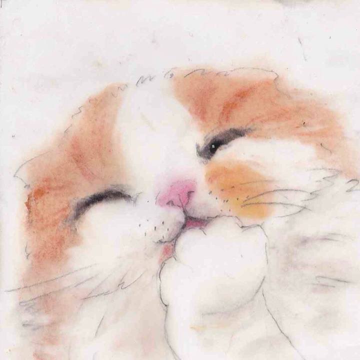 389412c7 0afb 4637 9d13 3c30b786a6cf 1657899177837