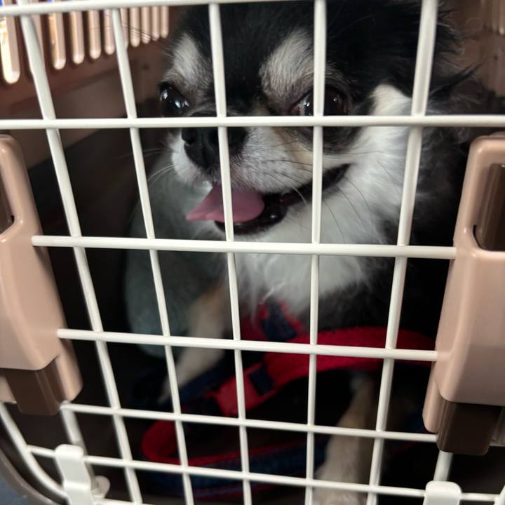 389440e1 15e8 4c25 be62 66979939a1ac 1725118755469