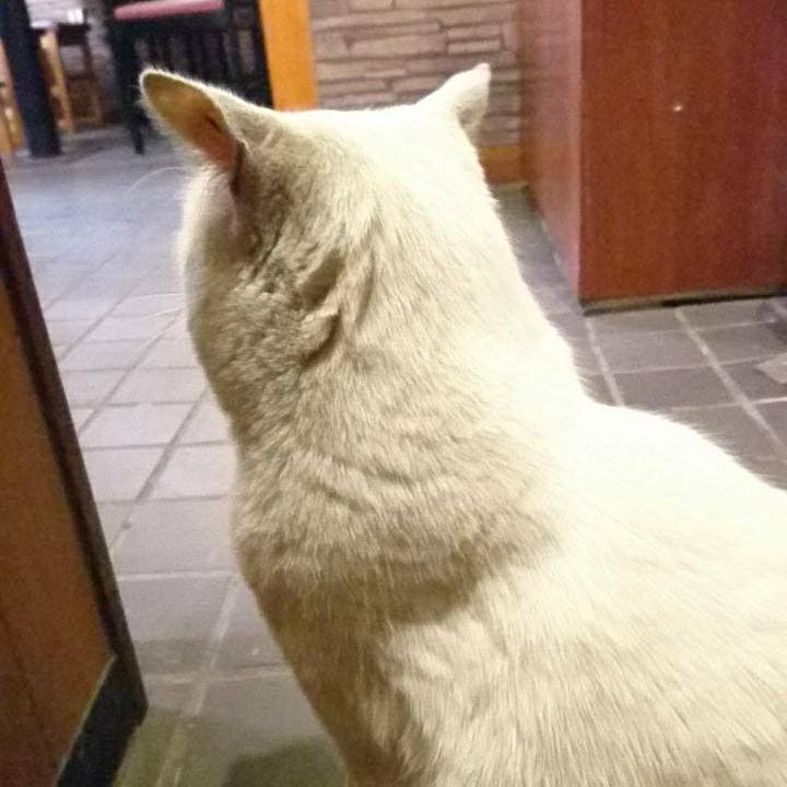 389480c3 96e8 4b1a ae40 ed2621c85bb8 1519730147404