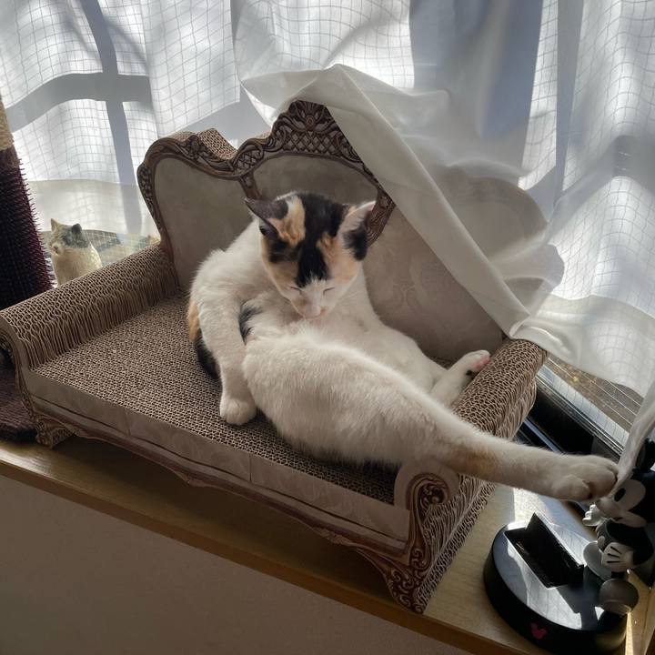 3894acbe 9a8b 4950 8149 b44275721818 1677022909771