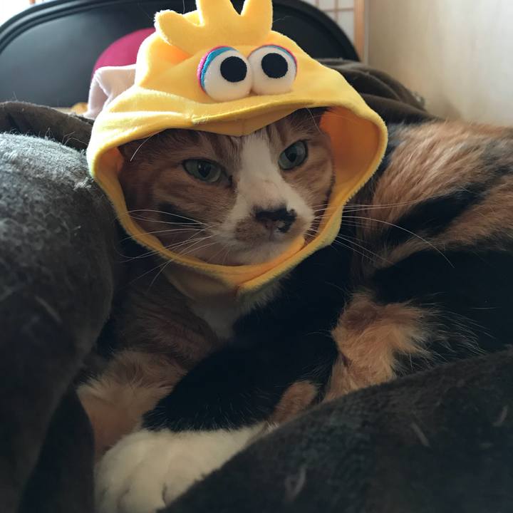 3895209f a806 48c1 a00a e28185dc748a 1529222523053