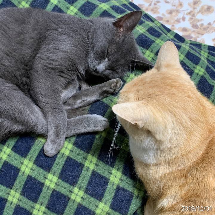 38953c23 e338 4823 a83b eb68fd34f1dc 1575173314540