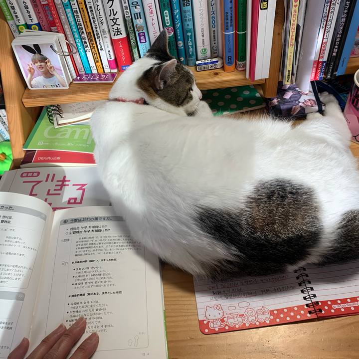 38955316 f548 4ee3 b7b6 5a6929d3d315 1592691456804