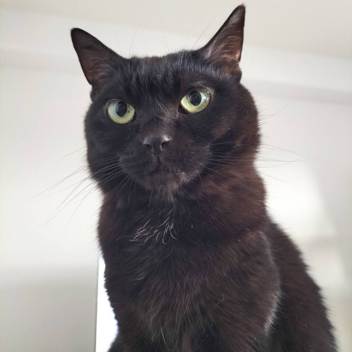 389555ff e065 4e41 85c9 f90e42e996db 1710540719913